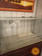 Тераріум для черепах