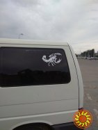 Наклейка на авто Скорпион Белый