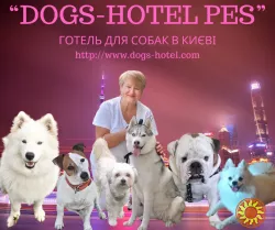 Готель для перетримки собак та котів  - Dogs-Hotel Pes