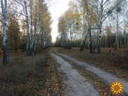 Земельный участок под садоводчество и постройку дома в с., Дружня