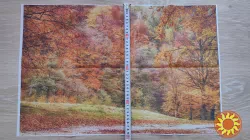 Картина на стену Осень ,картинка