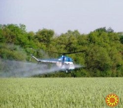 Агропослуги - інсектицидний захист пшениці гвинтокрилом