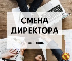 Смена директора ООО за 1 день