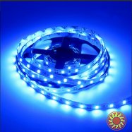 LED лента BIOM SMD2835-60 12V IP20 Стандарт СИНЯЯ 1м