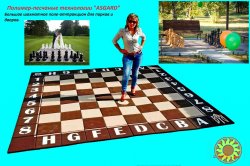 Большое шахматное поле-аттракцион
