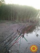 Trenoga fishing rods