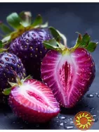 Полуниця Пурпурове диво,розсада