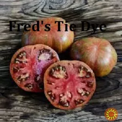 Насіння найкращіх сортів томатів-гномів