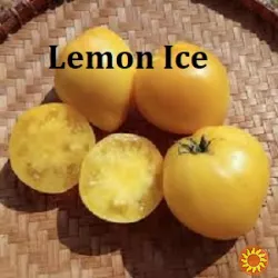 Насіння найкращіх сортів томатів-гномів