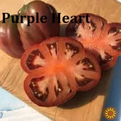 Насіння найкращіх сортів томатів-гномів