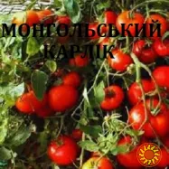 Насііння ультраранніх сортів томатів