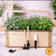 Квітучі подарункові набори на 8 березня. EcoBloom