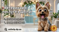 Консультація ветеринара Дніпро, Кастрація на дому Дніпро