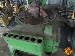 Трубогиби дорнові