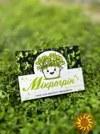 Еко-рішення: корпоративні подарунки на 8 березня з логотипом вашої компанії