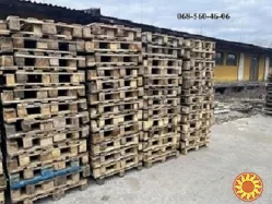 Продаєм європіддони відновлені різних розмірів Дніпро.