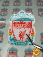 Об'ємна наклейка, шильда, смоляна етикетка.