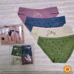 Набір жіночих сліп-трусиків ТМ "Obrana" (арт. 200-30/17)