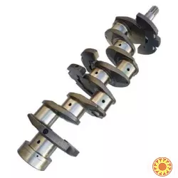 Колінвал МТЗ, Д-240 (240-1005015)