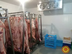 Морозильна камера - Щокова заморозка ковбас, м'яса, сирів ( Під ключ)