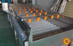 Щіткова мийка для делікатного миття овочів і фруктів STvega Del Wash F30