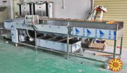 Щіткова мийка для делікатного миття овочів і фруктів STvega Del Wash F30