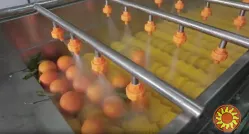 Щіткова мийка для делікатного миття овочів і фруктів STvega Del Wash F30