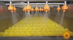 Щіткова мийка для делікатного миття овочів і фруктів STvega Del Wash F30