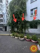 Продам 3к квартиру Тополь-3