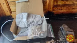 Мочеприемник,мешок для сбора мочи Careline,500 мл