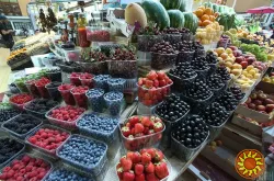 Холодильна та морозильна камери для Заморозки малини і суниці