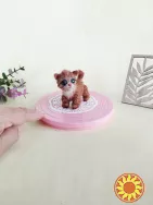 Котик, кошеня, мініатюрний кіт