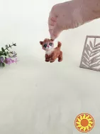 Котик, кошеня, мініатюрний кіт