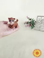 Котик, кошеня, мініатюрний кіт