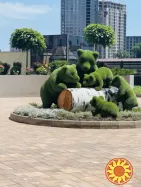 2х к ЖК 66 Жемчужина / Краснова. Нотариальная сделка.