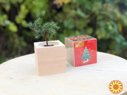 Подарунки на Миколая. Новорічні набори. DIY набори