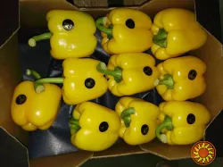 Продаем перец