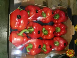 Продаем перец