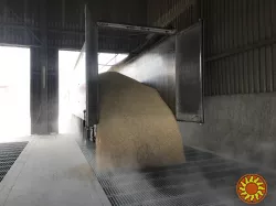 Міжнародні транспортні перевезення щеповозами BDO