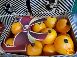 Продаем апельсины