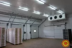 Холодильна камера Тривалого зберігання яєць (встановлення під ключ)