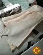 Машина-напівавтомат для зняття шкіри, плівки з м'яса STvega Pork Rem H300