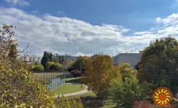 2х к  Ак. Вильямса  / Сильпо.   Дворовая.