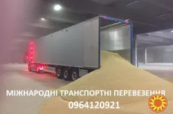 Міжнародні перевезення самоскидами