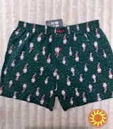 Чоловічі зелені сімейні труси з малюнком гномів ТМ "BRES" (арт. MBXK 307/01/140)