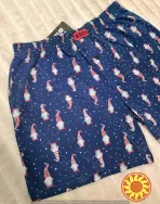 Чоловічі сімейні труси з новорічним принтом гномів (арт. MBXK 307/01/139)