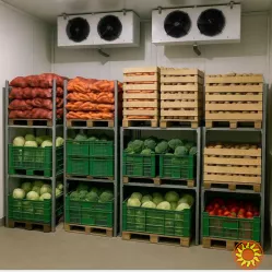 Універсальна холодильна камера для продуктів -10С+10С, морозилка