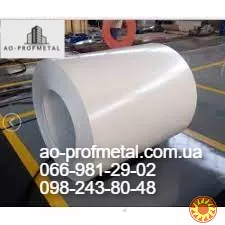 Профлист РАЛ 9003.