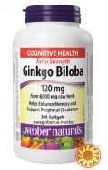 Ginkgo Biloba Гінкго Білоба 300 м’яких капсул (Canada)