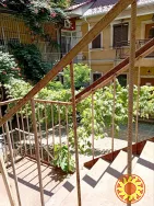 Сдам 1- ком. Пушкинская ( Итальянская ) / Еврейская.